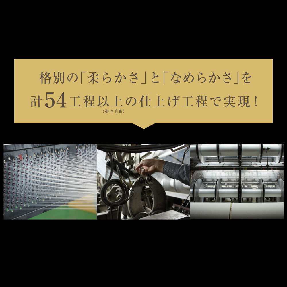 CALDO NIDO ELITE 2 敷き毛布