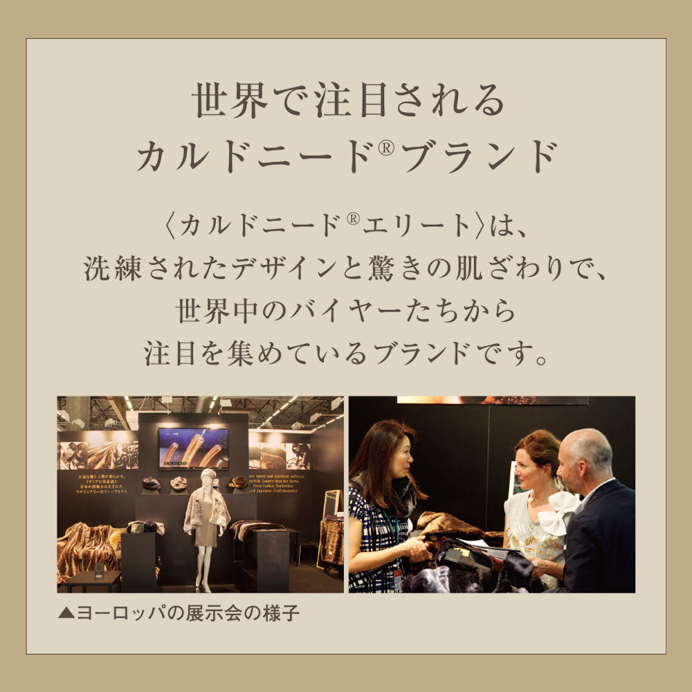 毛布,あったかい,なめらか,日本製,泉大津,カルドニードエリート