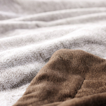 Silk Aura 極 2枚合わせ掛け毛布